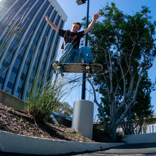 Dylan Wyatt